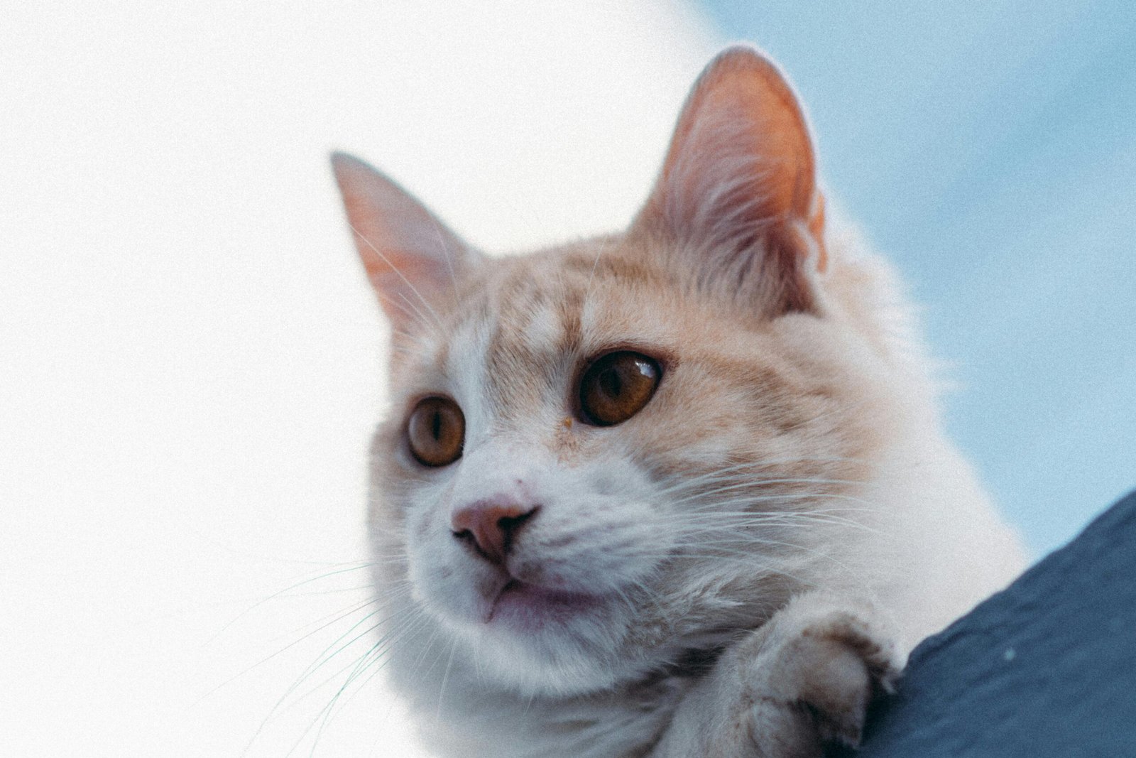 Furnitur: Pemilihan dan Penataan yang Tepat di Properti Anda