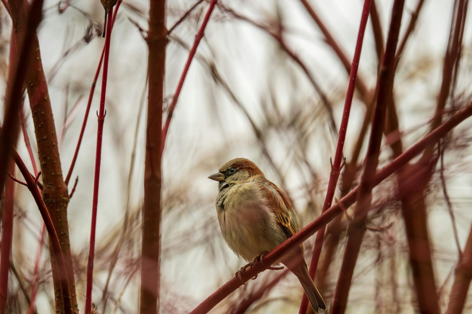 Jual Properti Rumah: Bagaimana Mengubahnya Menjadi Mesin Uang?
