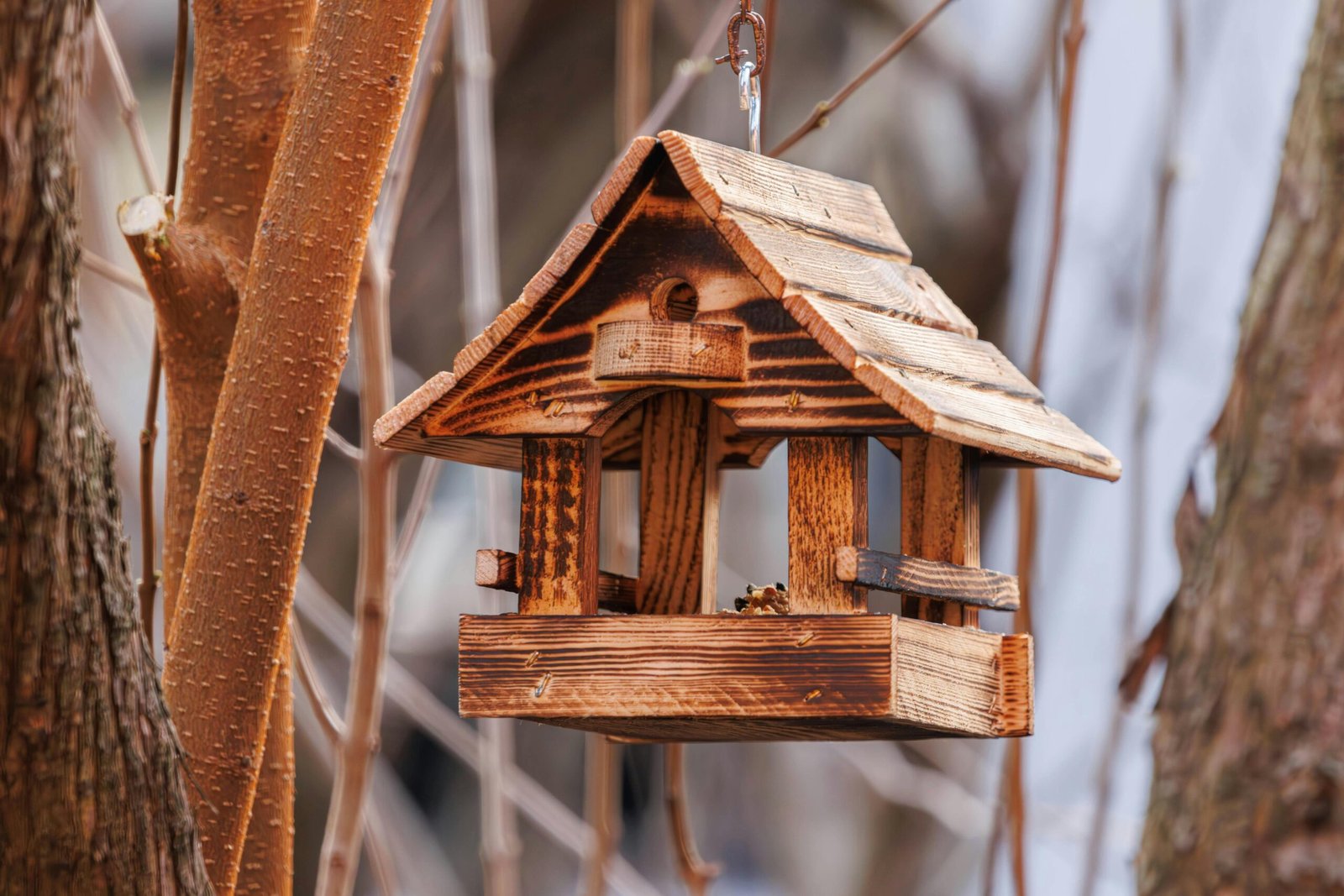 Rahasia Tersembunyi di Balik Listing Rumah Idaman