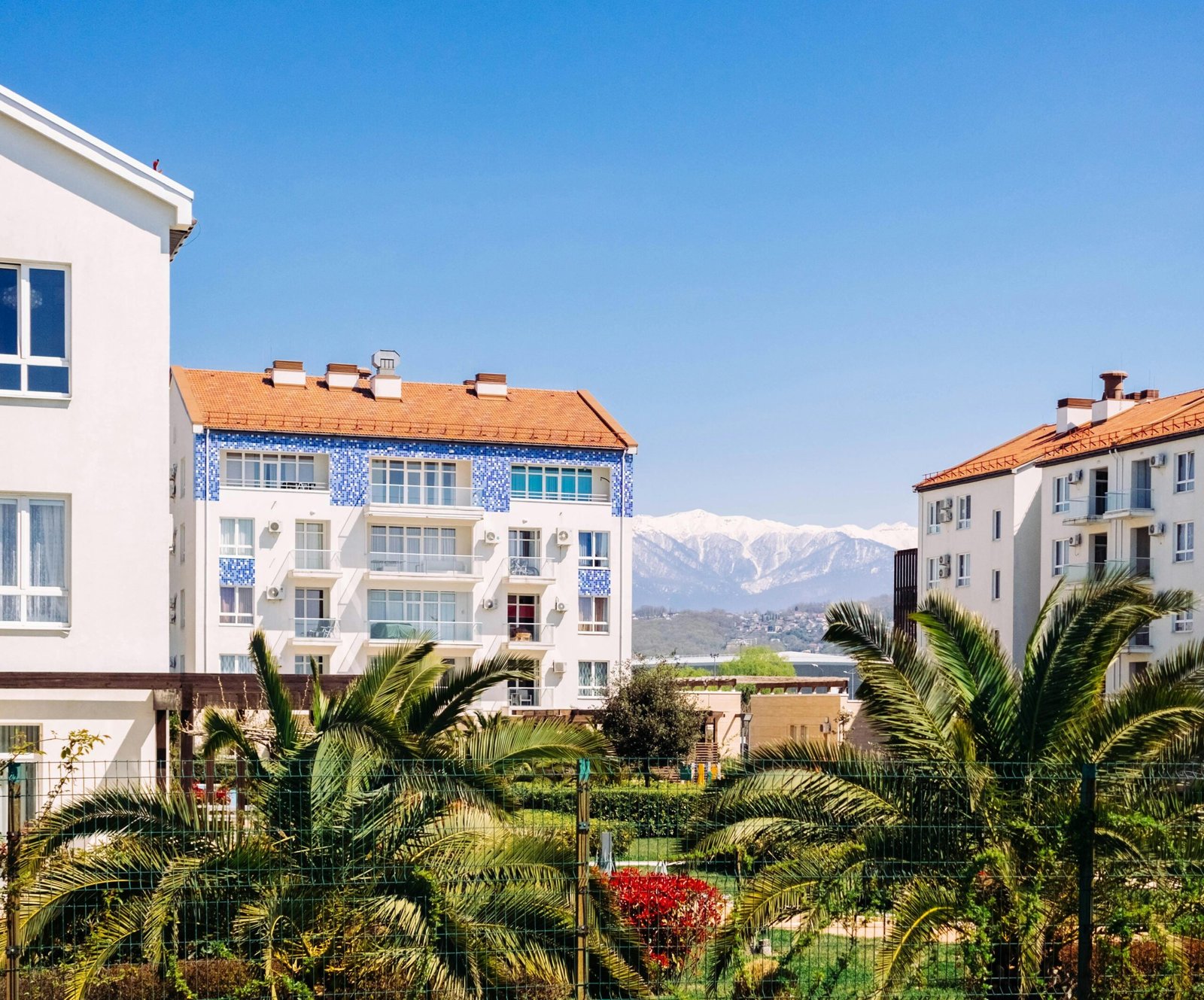 Tanaman Hias yang Cocok untuk Taman Dalam Ruangan di Rumah