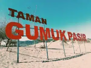 Awas, Ini Risiko Tersembunyi Beli Tanah Berstatus Girik
