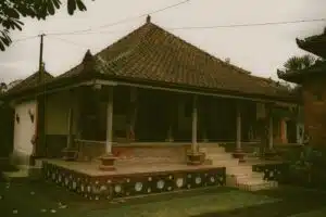 Jejak Rayap: Cara Mengenali Tanda Serangan Hama Kayu Sebelum Terlambat